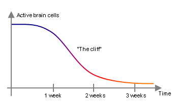 The cliff of freshness